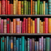 vitriolicnaivety_an_ultra-realistic_photograph_of_a_bookshelf_029c6a71-6123-4261-b7da-c1dd2dd0a6d7_0